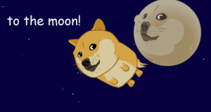 Dogecoin Valore to the moon