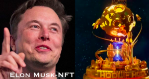 Elon Mask NFT Twitter