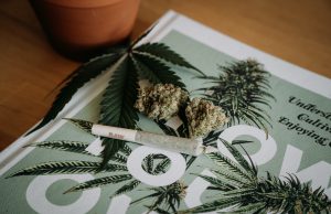 Migliori azioni cannabis